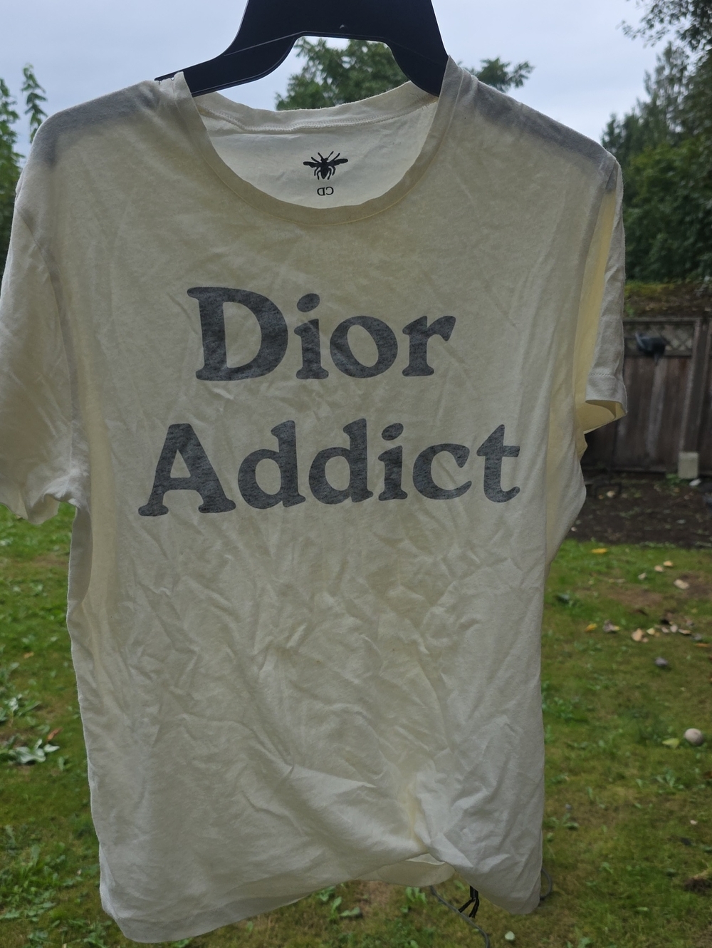 Dior Short Sleeve 'Dior Addict' Logo Tee in Cream with Gray Print